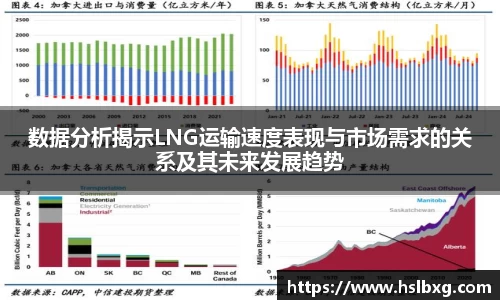 数据分析揭示LNG运输速度表现与市场需求的关系及其未来发展趋势