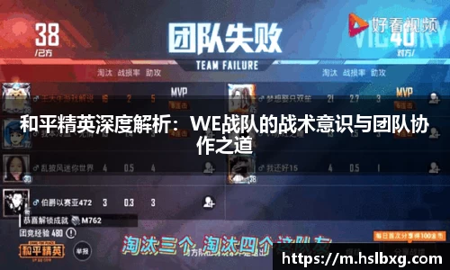 和平精英深度解析：WE战队的战术意识与团队协作之道