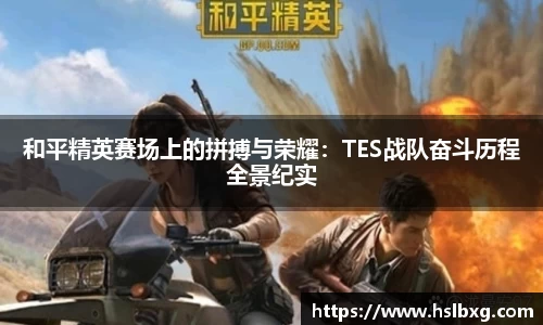 bg大游直营